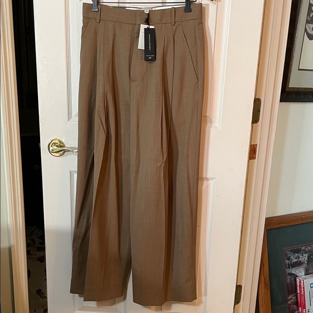 NWT Banana Republic Brown Pleated Italian Wool Wide Leg Trousers 8p